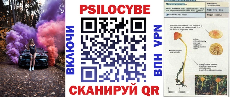 Псилоцибиновые грибы MAGIC MUSHROOMS  закладки  Таганрог 