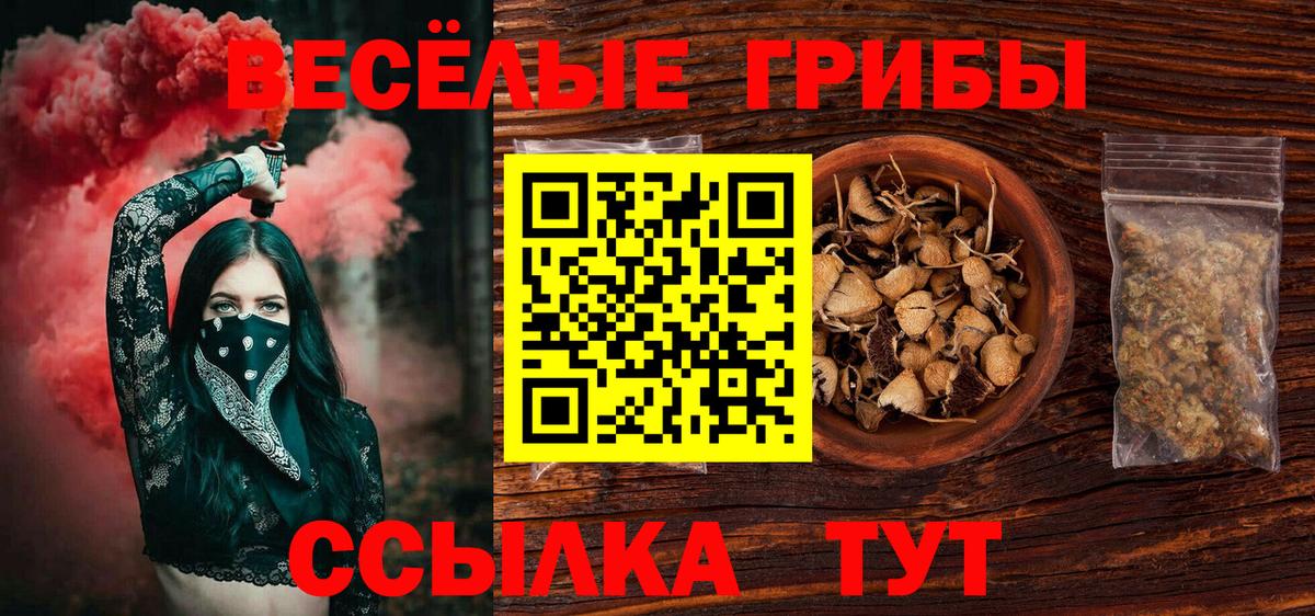 Галлюциногенные грибы Cubensis Таганрог