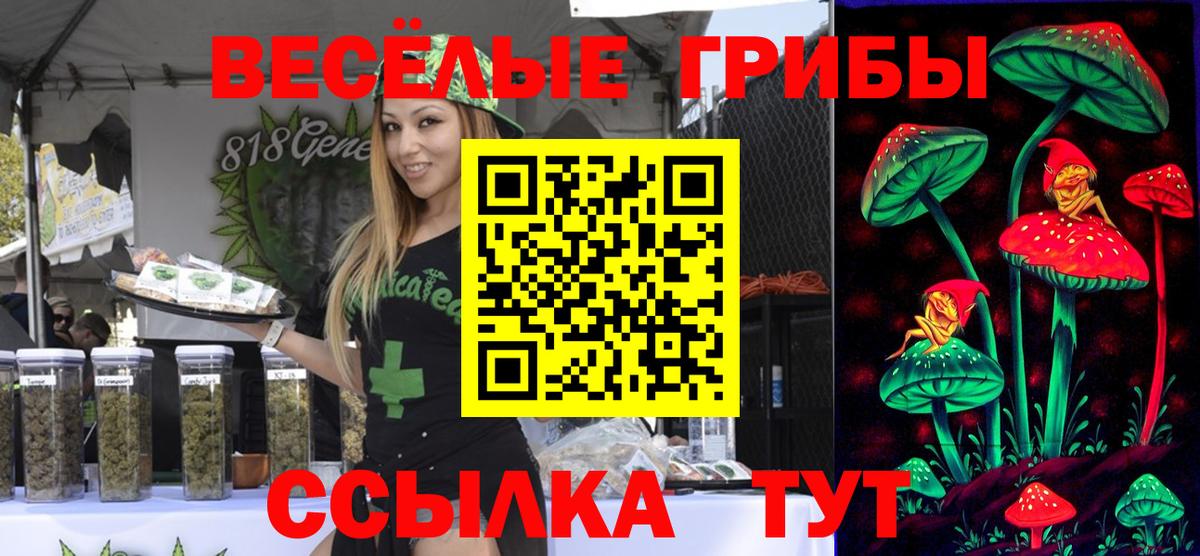 Галлюциногенные грибы Psilocybine cubensis  Вход с VPN  Таганрог 
